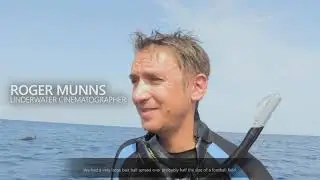 Beyond Blue - All Ocean Insight Videos (Binge Mode) Trophy / Achievement