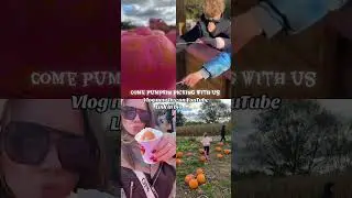 new vlog now live on my channel / pumpkin picking time 🎃 #pumpkinpicking #pumpkinpatch #halloween