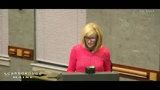 Scarborough Town Council candidate, Michelle Hayes, speaks at the Public hearing on the Dunston TIF