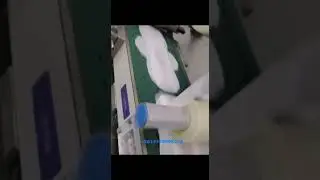 Oval Anion : New design in Market /Full servo strip packing type sanitary napkin machine