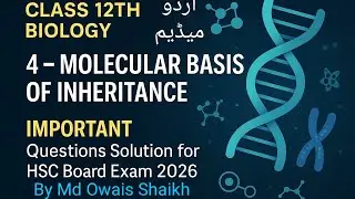 12th Biology|4-Molecular Basis of Inheritance|Imp questions solution|2026 HSC board Exam|Urdu Medium