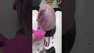 Toning with Tonal Control BlondeMax #haircolor #hairtok