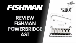 Review Ponte Piezo FISHMAN Powerbridge AST