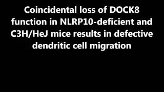 PNAS : Coincidental loss of DOCK8 function in NLRP10-deficient and C3H/HeJ...