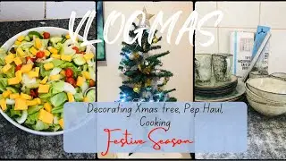 VLOGMAS EP1...DECORATING THE XMAS TREE, PEP HOME HAUL, COOKING//NAMIBIAN YOUTUBER