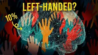 Why Only 10 Percent of People Are Left-Handed