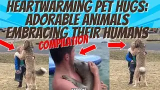 When Pets HUG Their OWNERS! HEARTWARMING, Cute & Cuddly Pets Giving the Sweetest Hugs Compilation