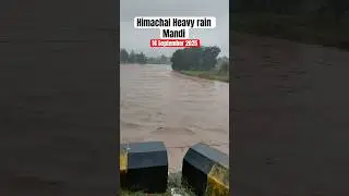 Himachal Pradesh: River Swells In Mandi Due To Heavy Rainfall #shorts