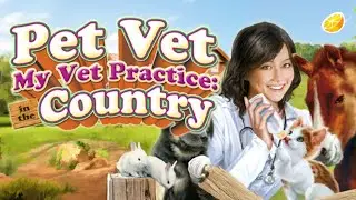My Vet Practice 3D: In the Country | Citra 3DS Emulator | Android Snapdragon 855 | Gameplay