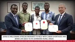 Japan Begs and calls For Africans to help with labor shortages