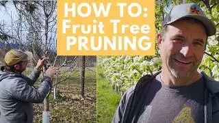 Master The Art of Winter Tree Pruning in Your Backyard!