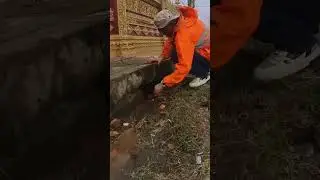 Clean Abandon Culvert On Street #unclog #drain #clean #shortsviral  #draincleaner #satisfying