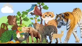 Multiple animal sounds like cow, elephant, cat, chicken, bird, lion, tiger