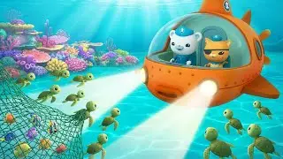 Octonauts Mega Rescue: Sea Turtles, Ghost Nets & Arctic Gliders! 🐢🆘