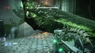 Level 33 flawless crota run