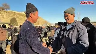 OLTINSOY MIRSHODI BOZORIDAGI NARXLAR