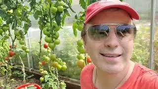 Дневник дачника часть 12