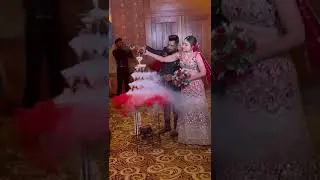 Champagne SL wedding #dancefloor #wedding #dhol #indiandhol #dance #panjabdhol #festival