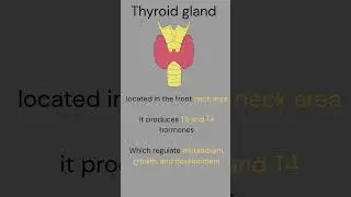 Endocrine System Endocrine Gland |Fast Track Revision| NEET Biology | NCERT Based