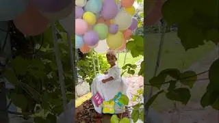 Suviksa&rsquo;s 1st Birthday 🤩🧿 29.10.2023🧚🏻&zwj;♀️🌍 #vimalvssureka #birthday