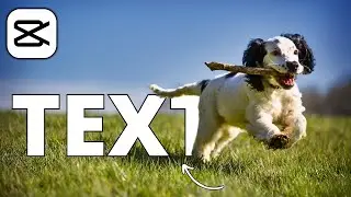 CapCut Text Animation: Create Stunning Reveal Effects