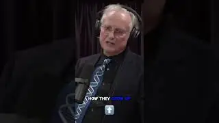Joe Rogan and Richard Dawkins thoughts on Mormonism
