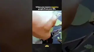 THIS is what happens when you REMOVE negative people from your LIFE!
