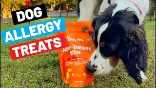 How To Help Dogs With Allergies (Zesty Paws Aller-Immune Bites Review)