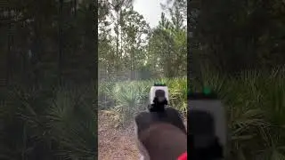 Quick magdump #magdump #shots #shorts #shortsfeed #feed #feedshorts #guns #viral #youtubeshorts #ets