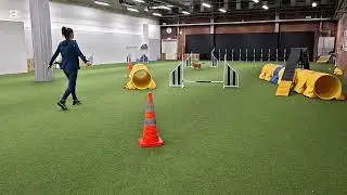 Geira 15 months - C5-L2-T5 - Jump Vs tunnel