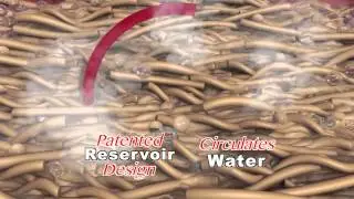 The Official Rapid Ramen Commercial | As Seen on TV