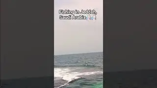 Fishing In Jeddah, Saudi Arabia. #jeddah #jeddahcorniche #fishing #fishingvideo