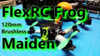 FlexRC Frog Maiden - 122mm brushless