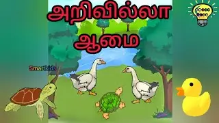 அறிவில்லா ஆமை கதை/ Foolish tortoise/ kutty story/ smartkids/@smartkids_sarasri