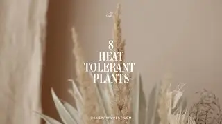 Incorporate these 8 Heat Tolerant Plants into your landscape