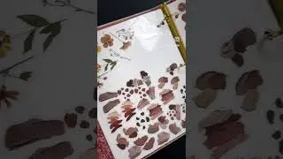 Ephemera & Die Cut Storage Solution!