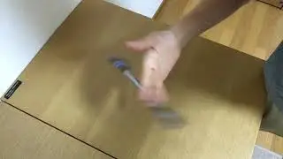 もらいもの2
