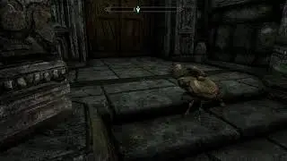 Skyrim | My First Pet Mudcrab!