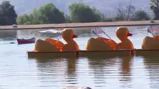 Hansen Dam Duck Walk and Dragon