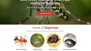 Kingdom Web Pros: Top SEO & Affordable Web Design Services Near Augusta, GA