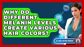 Why Do Different Melanin Levels Create Various Hair Colors? - All About Anatomy Answers