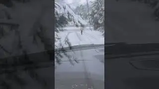 🇺🇸 SNOW/ 🇲🇿 NEVE #foryou #goviral #brasil #snow #america #portugal #follow