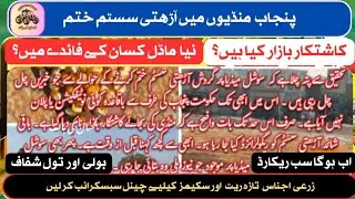Punjab Ne Mandi System Tabdeel Kar Diya | Naya Kashtkar Bazar Model 2025 #maryamnawaz