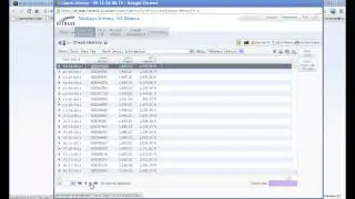 Skyward Check History Tutorial