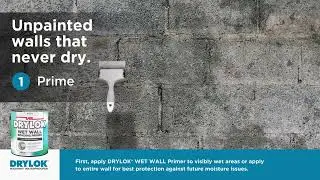 (NEW) DRYLOK&reg; Wet Wall Bonding Primer
