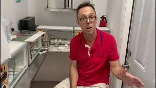 Sexing a chick from the egg
