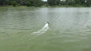 ANDREW'S SONICWAVE RC BOAT CRASHES