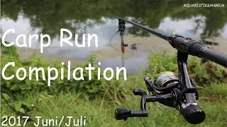Carp Run Compilation/ Karpfen Run#Aquaristik&Angeln