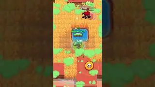 Epic win 900 plus trophies