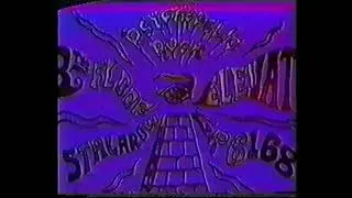The 13th Floor Elevators  Documentary    